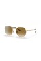 Ray-Ban RB3565 Jack XL (55 - 20) / Marrón lentes y Gafas de sol de montura de Oro