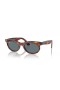 Ray-Ban RB2242 Caminante Oval L (53 - 22) / lentes Azules y Marrones Gafas de sol de montura
