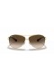 Ray-Ban RB3386 XXL (67 - 13) / Marrón lentes y Gafas de sol de montura de Oro