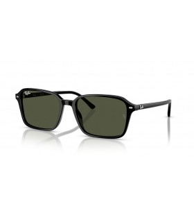 Ray-Ban RB2231 Raimond L (56 - 18) / lentes de color Verde y Negro Gafas de sol de montura