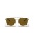 Ray-Ban RB3688 م (55 - 19) / بني العدسات الذهب الإطار النظارات الشمسية