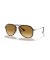 Ray-Ban RB4298 XXL (57 - 17) / بني العدسات السلحفاة نظارات الإطار