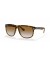 Ray-Ban RB4147 صديقها S (56 - 15) / بني العدسات السلحفاة نظارات الإطار