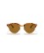 Ray-Ban RB4246 Clubround الكلاسيكية م (51 - 19) / العدسات البني و البني نظارات الإطار