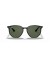 Ray-Ban RB4306 L (54 - 19) / الأخضر العدسات و النظارات الشمسية الإطار الأسود