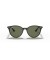 Ray-Ban RB4305 م (53 - 19) / الأخضر العدسات و النظارات الشمسية الإطار الأسود