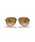 Ray-Ban RB4298 XXL (57 - 17) / بني العدسات السلحفاة نظارات الإطار