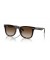 Ray-Ban RB4420 XL (65 - 18) / بني العدسات السلحفاة نظارات الإطار