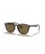 Ray-Ban RB4259 م (51 - 20) / بني العدسات السلحفاة نظارات الإطار