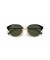 Ray-Ban RB4429 XXL (55 - 20) / الأخضر العدسات و النظارات الشمسية الإطار الأسود