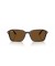 Ray-Ban RB2231 Raimond L (56 - 18) / بني العدسات السلحفاة نظارات الإطار
