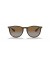 Ray-Ban RB4171 اريكا الكلاسيكية م (54 - 18) / بني العدسات السلحفاة نظارات الإطار