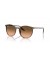 Ray-Ban RB2204 S (51 - 20) / العدسات الوردي و البني نظارات الإطار
