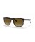 Ray-Ban RB4147 صديق ل (60 - 15) / بني العدسات و النظارات الشمسية الإطار الأسود
