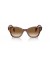 Ray-Ban RB0880S L (52 - 19) / العدسات البني و البني نظارات الإطار