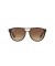 Ray-Ban RB4170 براد M (58 - 17) / بني العدسات السلحفاة نظارات الإطار