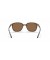 Ray-Ban RB2193 ليونارد م (53 - 18) / بني العدسات السلحفاة نظارات الإطار
