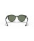 Ray-Ban RB4305 م (53 - 19) / الأخضر العدسات و النظارات الشمسية الإطار الأسود