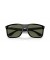 Ray-Ban RB4547 صديقها اثنين لتر (57 - 18) / الأخضر العدسات و النظارات الشمسية الإطار الأسود