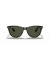 Ray-Ban RB2185 ابن السبيل الثاني الكلاسيكية L (55 - 18) / الأخضر العدسات السلحفاة نظارات الإطار