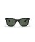 Ray-Ban RB4440N الحريق عابر سبيل L (0 - 141) / الأخضر العدسات و النظارات الشمسية الإطار الأسود