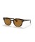Ray-Ban RB4324 لتر (50 - 21) / بني العدسات السلحفاة نظارات الإطار