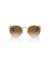 Ray-Ban RB3637 جولة جديدة XS (50 - 21) / بني العدسات الذهب الإطار النظارات الشمسية