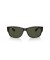 Ray-Ban RB4388 L (58 - 18) / الأخضر العدسات السلحفاة نظارات الإطار