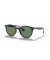 Ray-Ban RB4305 م (53 - 19) / الأخضر العدسات و النظارات الشمسية الإطار الأسود