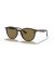 Ray-Ban RB4305 م (53 - 19) / بني العدسات السلحفاة نظارات الإطار