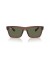 Ray-Ban RB4396 وارن الحيوي القائم XL (57 - 20) / الأخضر العدسات البني نظارات الإطار