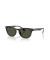 Ray-Ban RB4140 S (49 - 20) / الأخضر العدسات السلحفاة نظارات الإطار