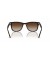 Ray-Ban RB4420 XL (65 - 18) / بني العدسات السلحفاة نظارات الإطار
