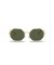 Ray-Ban RB1972 المثمن 1972 L (54 - 19) / الأخضر العدسات الذهب الإطار النظارات الشمسية