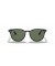 Ray-Ban RB4259F لتر (53 - 20) / الأخضر العدسات و النظارات الشمسية الإطار الأسود