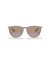 Ray-Ban RB4171 اريكا الكلاسيكية م (54 - 18) / العدسات البني و البني نظارات الإطار