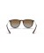 Ray-Ban RB4171 اريكا الكلاسيكية م (54 - 18) / بني العدسات السلحفاة نظارات الإطار