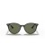 Ray-Ban RB4305F لتر (53 - 19) / الأخضر العدسات و النظارات الشمسية الإطار الأسود