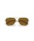 Ray-Ban RBR0102S القافلة عكس XXL (61 - 15) / بني العدسات الذهب الإطار النظارات الشمسية