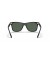 Ray-Ban RB4440N الحريق عابر سبيل L (0 - 141) / الأخضر العدسات و النظارات الشمسية الإطار الأسود