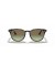 Ray-Ban RB4259 م (51 - 20) / بني العدسات السلحفاة نظارات الإطار