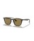 Ray-Ban RB4258F L (52 - 20) / بني العدسات السلحفاة نظارات الإطار