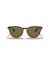 Ray-Ban RB4259 م (51 - 20) / بني العدسات السلحفاة نظارات الإطار