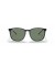 Ray-Ban RB4387F م (55 - 18) / الأخضر العدسات و النظارات الشمسية الإطار الأسود
