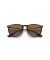 Ray-Ban RB4171 اريكا الكلاسيكية م (54 - 18) / بني العدسات السلحفاة نظارات الإطار