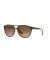 Ray-Ban RB4170 براد M (58 - 17) / بني العدسات السلحفاة نظارات الإطار