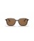 Ray-Ban RB2193 ليونارد م (53 - 18) / بني العدسات السلحفاة نظارات الإطار