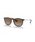 Ray-Ban RB4171 اريكا الكلاسيكية م (54 - 18) / بني العدسات السلحفاة نظارات الإطار