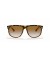Ray-Ban RB4147 صديق ل (60 - 15) / بني العدسات السلحفاة نظارات الإطار