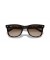 Ray-Ban RB4420 XL (65 - 18) / بني العدسات السلحفاة نظارات الإطار